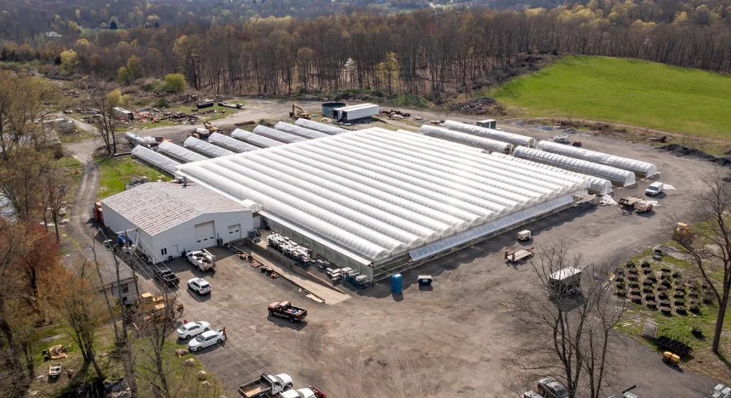 North Lake Supply: NJ's Sun-Grown Cannabis Cultivator