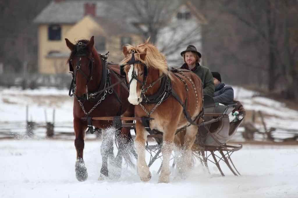 Things To Do in Central NJ in February